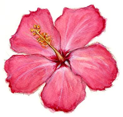 Painting Ideas Hibiscus, Hibiscus Flower Watercolor Painting, Hawian Flowers Drawings, Habisquis Flower Drawing Easy, Painted Hibiscus Flower, Hubiskis Flower, Hibiscus Flower Painting Easy, Hibiscus Painting Easy, How To Draw Hibiscus Flower