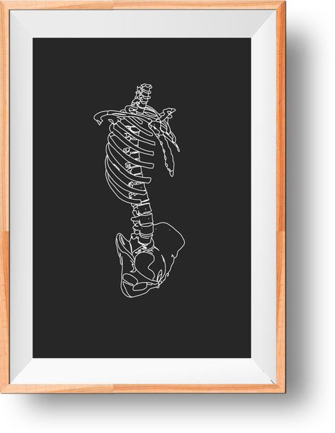 Spine Artwork, Ribs Anatomy, Vertebrae Art, Spine Art, Spine Anatomy, Minimalist Line Art, Abstract Poster, Embroidery Hoop Art, Art Minimalist