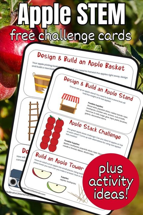 Apple STEM Challenge Cards Stem Challenge Cards, Stem Cards, Apple Science Experiments, Johnny Appleseed Activities, What Is Stem, Stem Ideas, Apple Stem, Paper Towel Tubes, Engineering Design Process