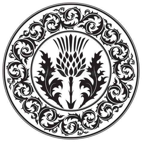 Thistle flower and ornament round leaf thistle. The Symbol Of Scotland. Isolated on white, vector illustration royalty free illustration Scottish Tattoos, Scotland Aesthetic, Scottish Symbols, Thistle Tattoo, Leaf Symbol, Scottish Celtic, Thistle Design, Thistle Flower, Celtic Patterns