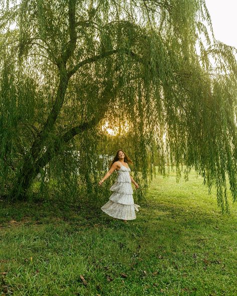 a morning in the fog ☁️ Tree Photo, The Fog, Senior Photo, Willow Tree, Photo Tree, Senior Pictures, Photo Shoot, Quick Saves