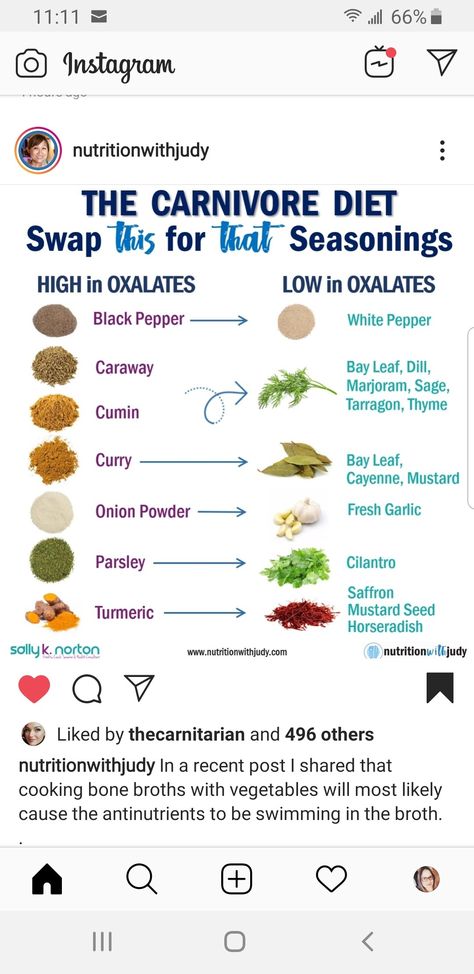 Carnivore Pregnancy, The Lion Diet, Animal Diet Recipes, Carnivore Diet Plan Women, Carnivore Condiments, Carnivore Diet Before And After Women, Carnivore Diet Recipes Easy, Carnivore Meal Plan, Caveman Diet Food List