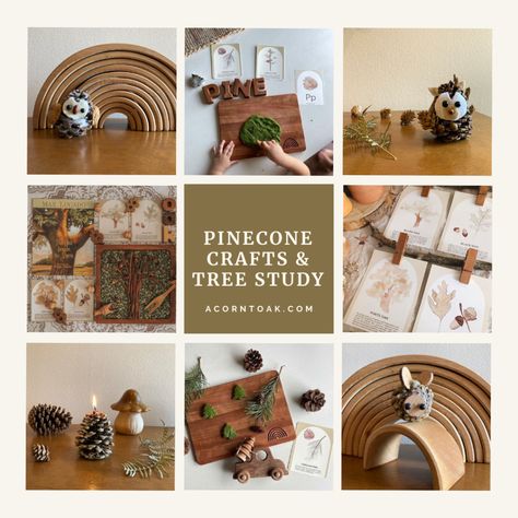 We love making pinecone crafts! I live in Florida, so pine trees are in abundance! My boys love to gather things on their nature walks, which means we usually end up with a basket full of pinecones. I've had to get creative on how I use them. We have made all sorts of animals out of pinecones, like our pinecone owls, and pinecone squirrel. Pinecone Owls, Pinecone Fire Starters, Snowy Pinecone, Tree Identification, Tree Study, Winter Nature, How To Make Toys, Nature Table, Pine Cone Crafts