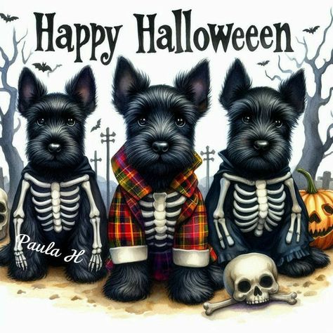 Scottie Terrier, Schnauzer Puppy, Halloween Wall Art, Dog Crafts, Autumn Scenery, Halloween Pictures, Scottish Terrier, Scottie Dog, Best Dogs