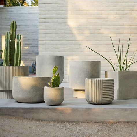 Bishop Ficonstone Indoor/Outdoor Planters | West Elm Indoor Plant Room, Modern Indoor Plants, Backyard Planter, Indoor Plant Garden, Indoor Garden Design, Small Landscaping, Plant Garden Ideas, Garden Ideas Indoor, Garden Design Home