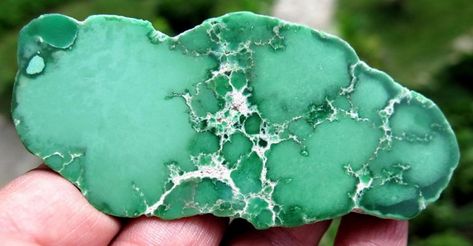 Power & Benefits of Variscite: Variscite is a stone of calming and encouragement. It’s oft ... Crystal Grimoire, Crystal Work, Taurus And Scorpio, Crystals Stones, Different Shades Of Green, Rare Stone, Astrology Signs, Heart Chakra, Healing Stones