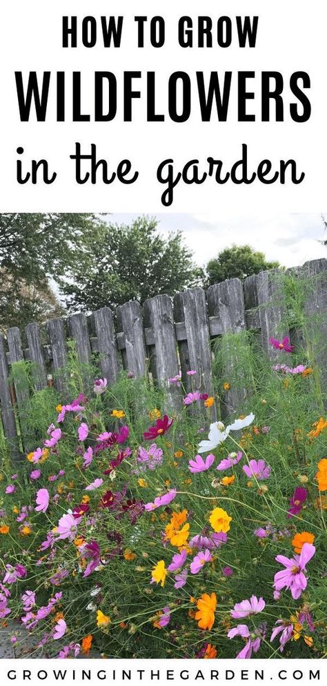 Follow The Yellow Brick Home - How to Create a Wildflower Meadow in your Garden – Follow The Yellow Brick Home