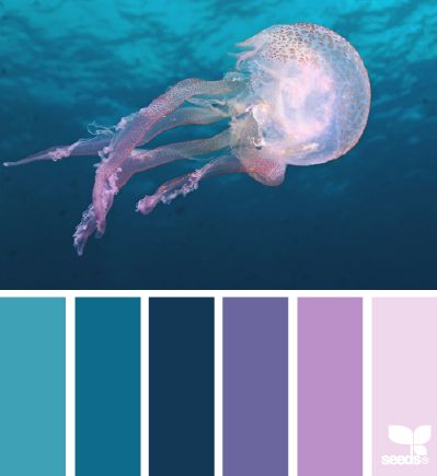 Jellyfish hues----this might help me incorporate some purples into my compositions. Aquatic Color Palette, Seeds Color, Door Colors, Palette Design, Purple Design, Color Palate, Design Seeds, Blue Dream, Color Stories