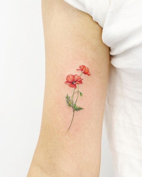 A little poppy flower tattoo Flower Tattoos Poppies, Poppy Flower Tattoos, Fine Line Poppy Tattoo, Simple Poppy Tattoo, Red Poppy Tattoo, Marigold Tattoo, Poppy Flower Tattoo, Poppy Tattoo, Poppies Tattoo