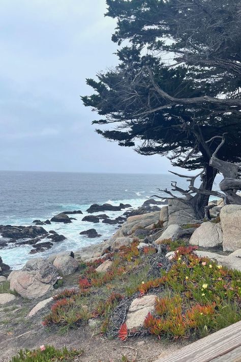 17 Mile Drive California, Monterey Beach, Monterey Bay California, Pebble Beach California, 17 Mile Drive, West Coast Travel, Carmel California, Big Little Lies, Carmel By The Sea