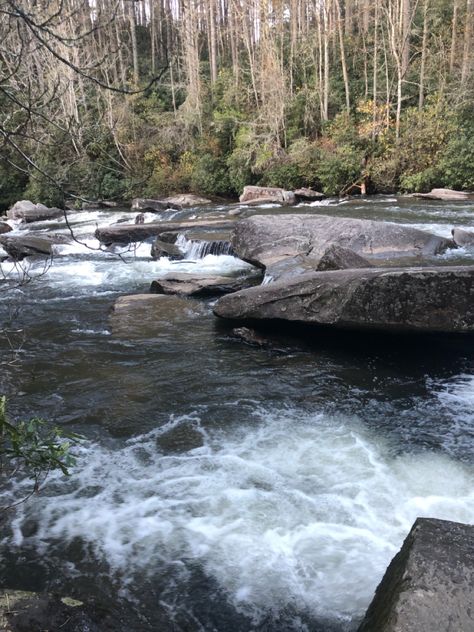 Brevard North Carolina, North Carolina, Georgia, Forest, Water