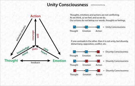 Unity Consciousness Hermetic Laws, Cerebral Hemispheres, Unity Consciousness, Kundalini Energy, Vibrational Medicine, Platonic Solids, Life Flower, Metatron's Cube, Pineal Gland