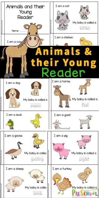 Baby Animal Activities, Animal Lesson Plans, Animals And Their Young Ones, Farm Unit Kindergarten, Science Corner, Animals And Their Babies, Lesson Plans For Preschool, Early Reading Activities, Farm Lessons