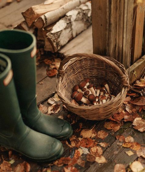 Fall Victorian Aesthetic, Rustic Autumn, Green Autumn Aesthetic, Green Autumn, Cottage Core Autumn Aesthetic, Cottage Core Fall, Cottagecore Vibes, Rustic Autumn Aesthetic, Green Fall Aesthetic