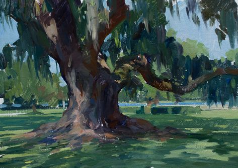 Plein air painting of a large oak tree. Live Oak Tree Painting, Marc Dalessio, Plain Air Painting, Large Oak Tree, Drawing And Painting Ideas, Plein Air Landscape, Tree Paintings, Live Oak Trees, Air Painting