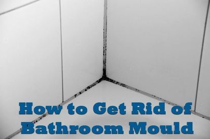 how to get rid of black mold, cleaning tips, home maintenance repairs, how to Diy Mould Removal, Mold Prevention, Black Mold, Mold In Bathroom, Cleaning Mold, Mold Removal, Mold Remediation, Cleaning Curtains, Mold Remover