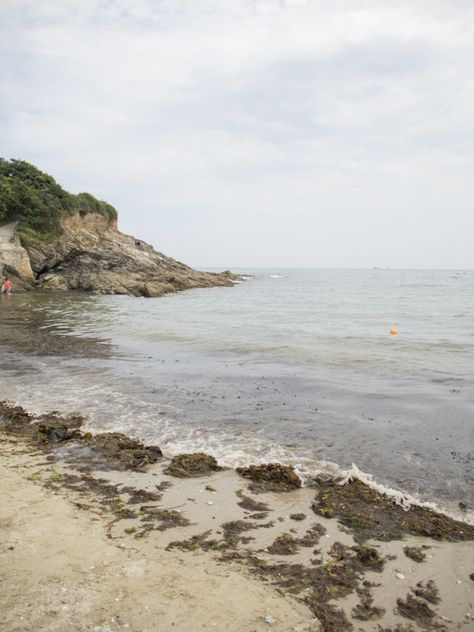 Sea Swimming at Swanpool Beach | The Cornish Life Ocean Swimming, Sea Swimming, Falmouth Cornwall, Devon And Cornwall, Visiting England, Tropical Beaches, Maritime Museum, Falmouth, Most Beautiful Beaches