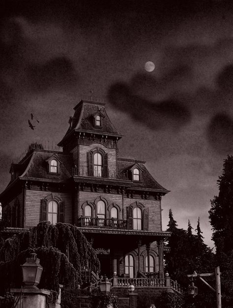 My new house???? I'd have to check that the neighbours were Addams though! Addams Family House, Addams Family Musical, Addams Familie, Arte Nerd, Adams Family, Spooky House, Halloween Haunted Houses, Haunted Places, Gothic House