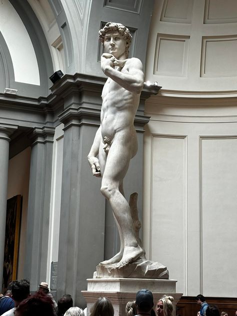 World’a no 1 sculpture by Michelangelo made in 15th century “David” #worldfamous #David #sculpture #florance #italy Michelangelo Sculpture, Michelangelo David, David Sculpture, David Statue, Spatial Design, 15th Century, World Famous, No 1, Monument