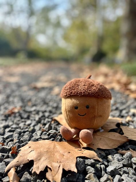 Fall Jellycat Aesthetic, Fall Jellycat, Nick Core, Jelly Cat, Jellycat Stuffed Animals, Cute Squishies, List Of Animals, Winter Inspired, Cute Doodle Art