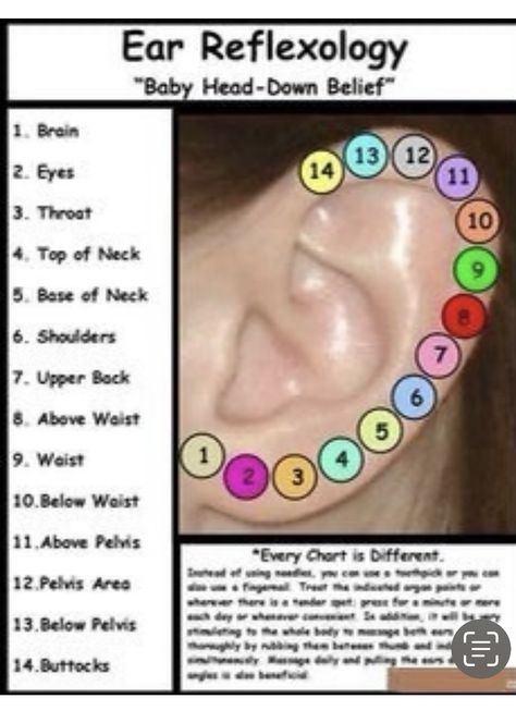 Ear Pressure Points, Pressure Points Chart, Piercings Chart, Ear Reflexology, Ear Pressure, Foot Reflexology Massage, Ear Piercings Chart, Piercing Chart, Diy Easter Gifts