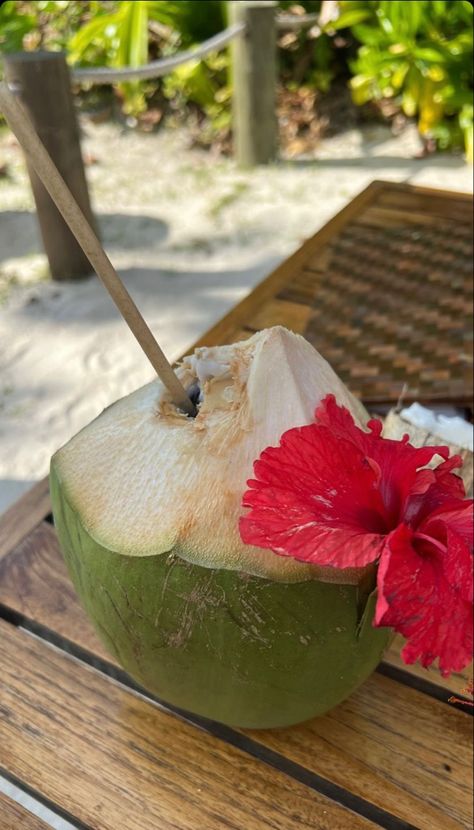 Coconut Drink Aesthetic, Dishes Aesthetic, Playa Aesthetic, I Love The Rain, Jhené Aiko, Thailand Vacation, Coconut Drinks, Summer Picture Poses, Coconut Girl