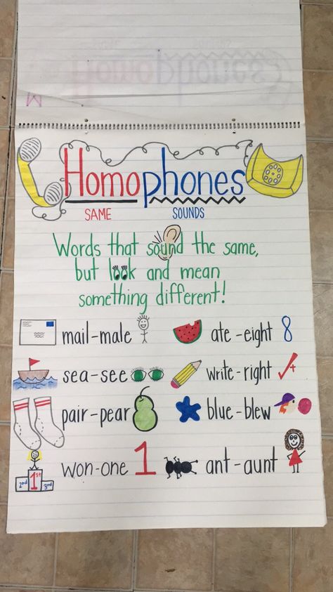 Homograph And Homophone Anchor Chart, Homophones Project Ideas, 3rd Grade Homophone Activities, Homophones Anchor Chart 3rd Grade, Homophone Anchor Chart 2nd Grade, Vocabulary Second Grade, Homophones Activities 3rd Grade, Ckla Second Grade Anchor Charts, Homonyms Anchor Chart