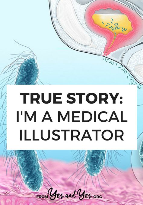 What's it like to work as a medical illustrator? If you're an artist or you love drawing, this might be the career for you! Medical Illustration Design, Medical Illustration Art, November Aesthetic, Medical Illustrations, Face Anatomy, Anatomy Tutorial, Medical Careers, Creative Jobs, Medical Design