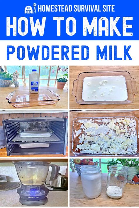 Learn how to make powdered milk at home for long-term food storage. This guide provides step-by-step instructions for preserving milk. Homestead Rescue, Dehydration Recipes, Dehydrator Recipes Fruit, Homestyle Meals, Pantry Basics, Dehydrating Food Storage, Survival Food Storage, Food Dehydration, Dehydrating Food