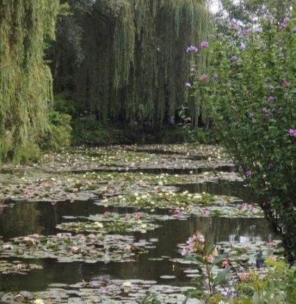 Ethereal Aesthetic Dark, Photography Plants, Plants Photography, Bog Garden, Princesa Tiana, Commercial Landscaping, Ethereal Aesthetic, Garden Types, Italian Garden