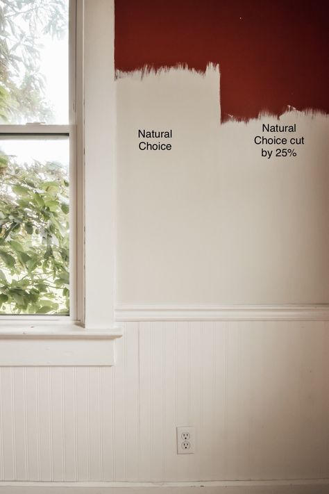 Natural Choice Paint Sherwin Williams, Wherein Williams Natural Choice, Sherwin William Natural Choice, Neutral Choice Sherwin Williams, Natural Choice Bedroom, Sw Natural Choice Walls, Neutral Wainscoting, Sherwin Williams Natural Choice Walls, Natural Choice Sherwin Williams Walls