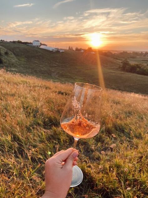 top 5 list of our favorite rosé wines that we recommend you try this spring and summer. Wine Tasting Pictures, Rose Wine Photography, Rose Wine Aesthetic, Summer Wine Aesthetic, Wine Styling, Wine And Flowers, Best Rose Wine, Cold Wine, Wine Aesthetic