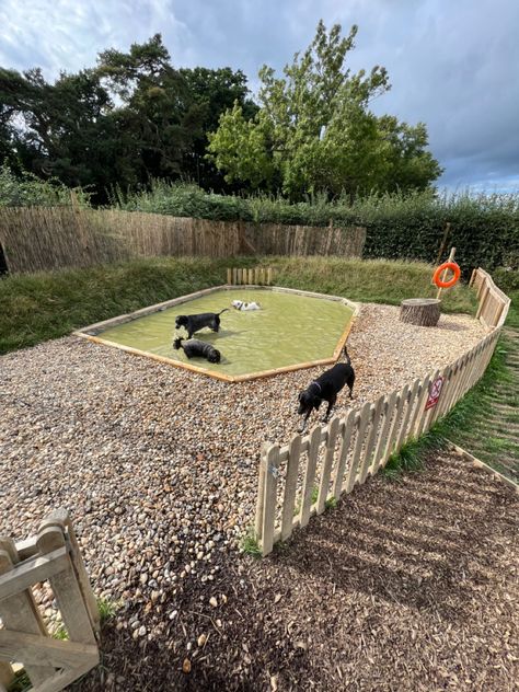 A secure dog adventure field in Hookwood, Surrey #dog #dogs #dogsfield #securefield #hookwood #surreydogfield #dogtraining #dogowners #dogpark #securedogpark #dogwalk Dog Turf, Dog Friendly Garden, Dog Friendly Backyard, Dog Backyard, Indoor Dog Kennel, Dog Playground, Life Adventure, Dog Training Advice, Pet Blog