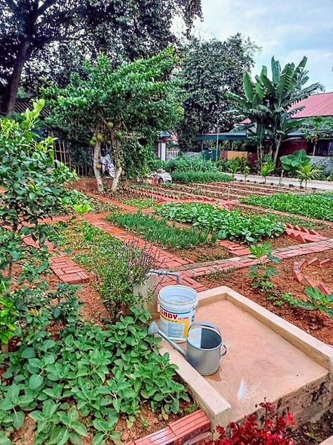 Agriculture Logo Design, Agriculture Tools, Agriculture Photos, Agriculture Machine, Herbs And Plants, Medicinal Herbs Garden, Agriculture Logo, Medicinal Garden, Small Vegetable Gardens