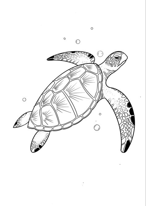 Drawing Sea Turtles, Turtle Drawing Tattoo, Sri Lanka Tattoo, Sea Turtle Outline, Sea Turtle Tattoo Design, Turtle Stencil, Turtle Outline, Sea Life Tattoos, Turtle Sketch