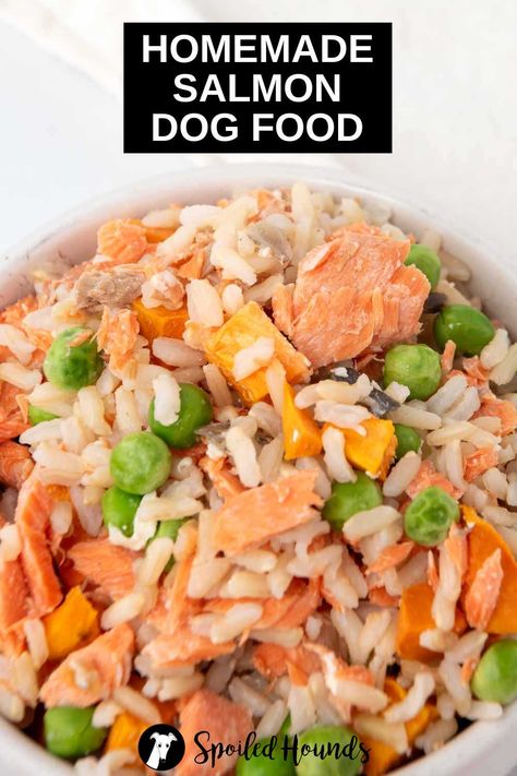 Dog Food Recipes With Salmon, Dog Food Recipes With Tuna, Dog Food With Salmon, Salmon For Dogs Recipe, Salmon Recipes For Dogs, Fish Dog Food Recipes, Canned Salmon Dog Food Recipe, Homemade Salmon Dog Food Recipes, Salmon Dog Food Recipes