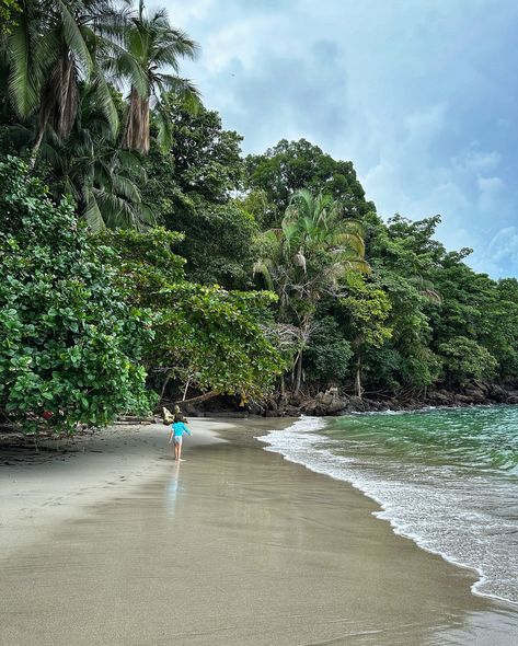 Although our family usually galivants around the Midwest, 🌽we took two weeks off from our Midwest adventures to explore Costa Rica. 🌎These were some of our favorite things: ⬇️ ✨Canyoning with @getyourguide in near Fortuna! We got to rappel down waterfalls, jump into pools, and zip line ✨Exploring the cloud forest in Monteverde ✨Seeing all the wildlife (monkeys, sloths, iguanas, etc. in Manuel Antonio National Park ✨Beach time with family and friends ✨Exploring Los Campesinos Reserve which ... Friends Exploring, Manuel Antonio National Park, Costa Rica Beaches, Cloud Forest, Zip Line, Monteverde, Beach Time, The Cloud, Family Adventure