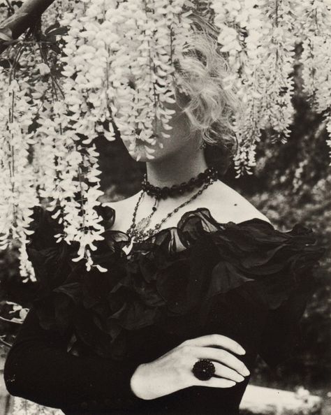 BONJOUR Albert Watson, Edward Hopper, Anais Nin, Victorian Gothic, Photography Inspo, Wisteria, Dark Art, Dark Aesthetic, A Tree