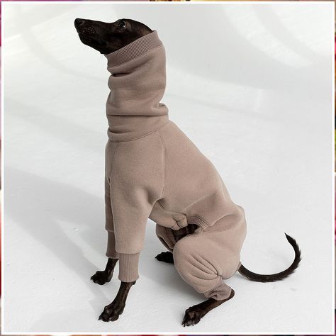 Dog Clothes - Great! - Get your tips from the online retailer - Amazon.com Greyhound Jacket, Whippet Clothes, Funny Looking Dogs, Dog Wearing Clothes, Italian Greyhound Clothes, Top Facts, Racing Dogs, Lure Coursing, Italian Greyhound Dog