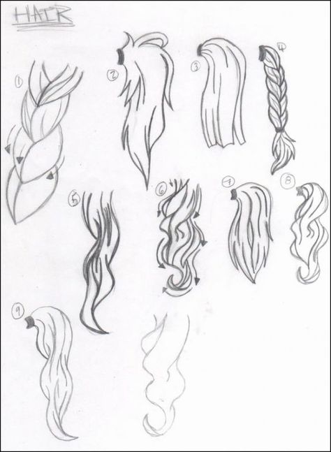 braids-ponytails-how-to-draw-a-braid-black-sketch-white-background-different-female-hairstyles Hair References Drawing, Ponytail Drawing, Female Face Drawing, Anime Hair, Hair Reference, Different Hairstyles, Beautiful Drawings, How To Draw Hair