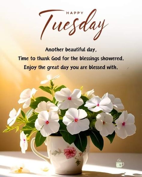 Tuesday Blessings Mornings, Happy Tuesday Good Morning, Happy Tuesday Blessings, Greetings English, Good Morning Tuesday Wishes, Blessed Tuesday, Beautiful Morning Images, Good Morning Happy Tuesday, Happy Tuesday Images