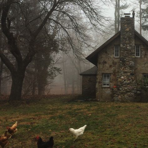 Dark Cottage Core, Cottage Aesthetic, Dark Cottagecore, Southern Gothic, Season Of The Witch, Cloudy Day, Stone House, Autumn Aesthetic, Cozy Cottage