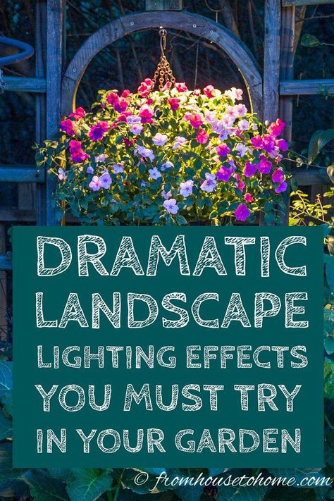 These landscape lighting ideas are perfect for front yards or a backyard garden. Learn how to design outdoor lighting for your walkway, house and garden using low voltage and solar light fixtures to uplight and downlight your landscape. #fromhousetohome #outdoorlighting #gardeningtips #gardenideas #landscape #landscapedesign Landscape Lighting Ideas, Low Voltage Outdoor Lighting, Outdoor Lighting Ideas, Diy Outdoor Lighting, Solar Landscape Lighting, Landscape Lighting Design, Solar Landscape, Front Yards, Backyard Lighting