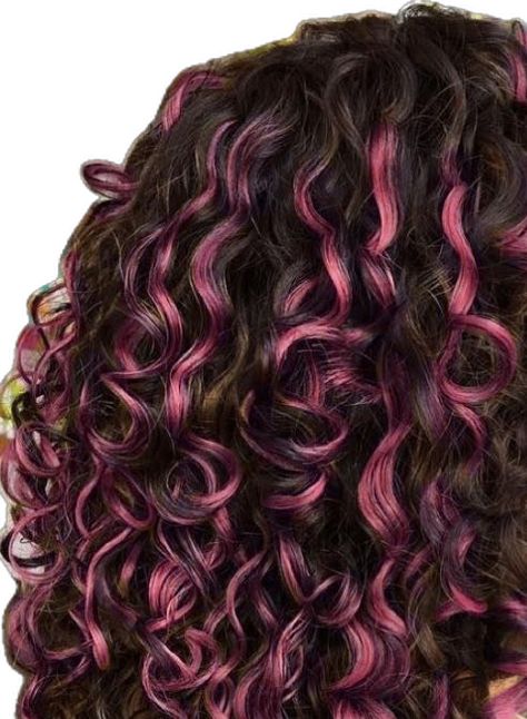 Curly Pink Hair, Pink Curls, Skunk Hair, Dyed Curly Hair, Highlights Curly Hair, Cute Hair Colors, Hair Streaks, Dyed Hair Inspiration, Colored Curly Hair