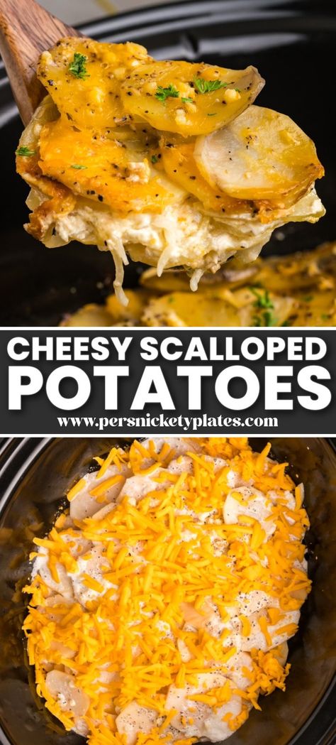 Best Crockpot Scalloped Potatoes, Augratin Cheesy Potatoes In Crock Pot, Au Gratin Potato Crockpot Recipes, Crockpot Recipes Scalloped Potatoes, Augratin Potatos Best Crockpot, Make Ahead Cheesy Scalloped Potatoes, Cheesy Au Gratin Potatoes Crock Pot, Cheesy Crock Pot Potatoes, Potluck Potato Recipes Crockpot