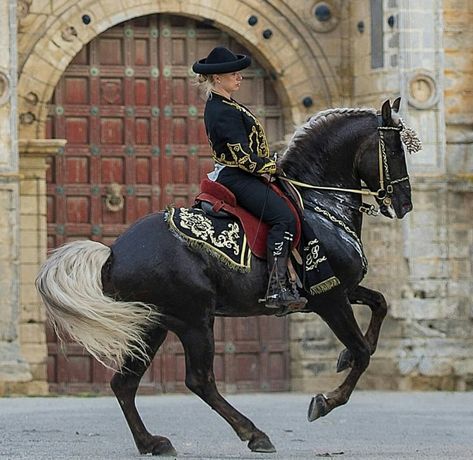 Mexican Horse Riding, Rearing Horse With Rider, Warlander Horse, Horse Costume, Lusitano Horse, Horse Poses, Rare Horses, Horse Reference, Horse Costumes