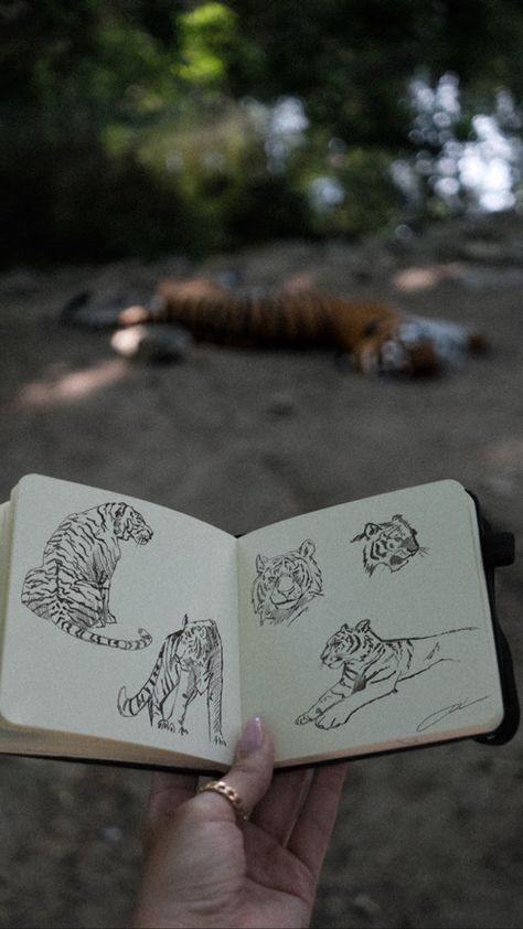 Tiger sketch sketchbook drawing Zoo Sketch, Zoo Drawing, Tiger Sketch, Painting Animals, In The Zoo, A Tiger, Quick Sketch, The Zoo, Art Inspo