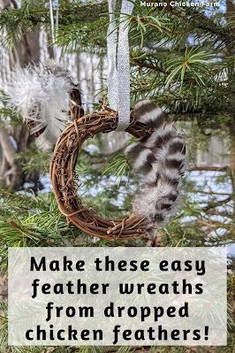 How to decorate mini grapevine wreaths with feathers. Chicken feather craft. Cute homemade Christmas decor! Diy Feather Decor, Homemade Christmas Decor, Feather Wreaths, Chickens For Eggs, Feathers Diy, Homemade Decoration, Feather Crafts Diy, Chicken Feathers, Raising Ducks