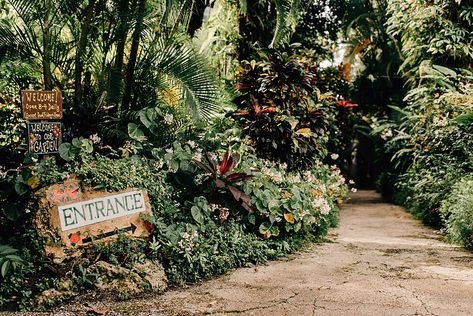 Barbados Wedding Venues, Barbados Wedding, Handfasting Ceremony, Flower Forest, Tropical Destinations, Tropical Wedding, Barbados, Small Wedding, Wedding Inspo