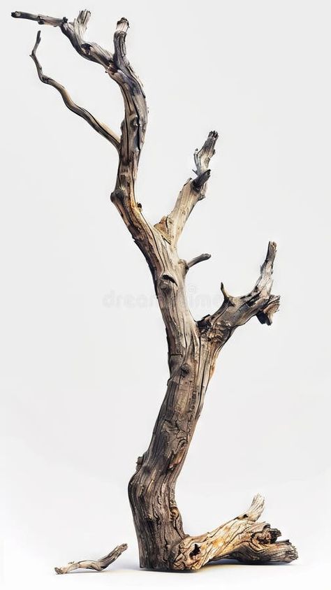 A tree with no leaves and branches stock photo Tree Branch Aesthetic, Tree Branches Photography, Tree No Leaves, Tree With No Leaves, Tree Without Leaves, Baby Room Paintings, Cherry Branch, Leaves Doodle, Tree Stem